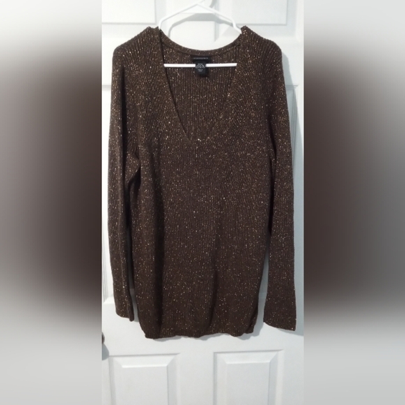 Lane Bryant Sparkling Brown V-Neck Sweater - Picture 1 of 4